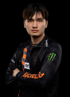 Fnatic 2019 iceiceice