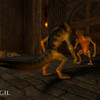 Capture de Vanguard: Saga of Heroes