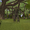 Capture de Vanguard: Saga of Heroes