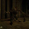 Capture de Vanguard: Saga of Heroes