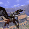 A dos de griffon
