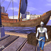 Capture de Vanguard: Saga of Heroes