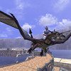 A dos de wyvern