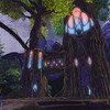 Capture de Vanguard: Saga of Heroes