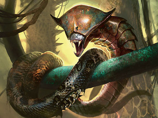 Illustration du Death-Hood Cobra Illustration du Death-Hood Cobra