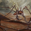 Capture de Magic the Gathering Online: New Phyrexia