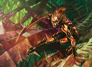 Illustration du Glistener Elf Illustration du Glistener Elf