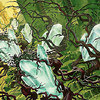 Capture de Magic the Gathering Online: Ravnica