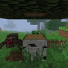 Capture de Minecraft