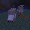 Capture de Minecraft