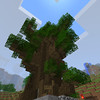 Capture de Minecraft