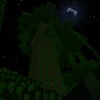 Capture de Minecraft