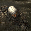 Capture de Fallen Earth
