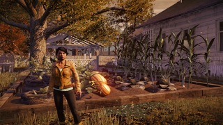 State of Decay State of Decay