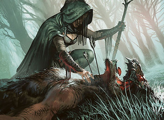 Illustration de la Woodland Sleuth Illustration de la Woodland Sleuth