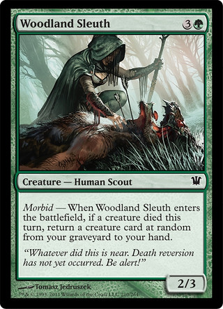 Woodland Sleuth Woodland Sleuth