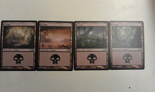 Terrains de base probablement issus d'Innistrad Terrains de base probablement issus d'Innistrad