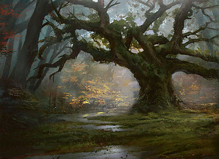 Illustration d'une Forest Illustration d'une Forest