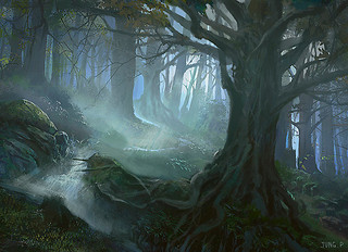 Illustration d'une Forest Illustration d'une Forest