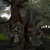 Capture de Le Seigneur des Anneaux Online : Les Ombres d'Angmar