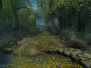 S0006 S0006