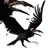 Capture de Le Seigneur des Anneaux Online : Les Ombres d'Angmar