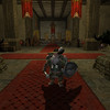 Capture de Le Seigneur des Anneaux Online : Les Ombres d'Angmar