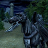 Capture de Le Seigneur des Anneaux Online : Les Ombres d'Angmar