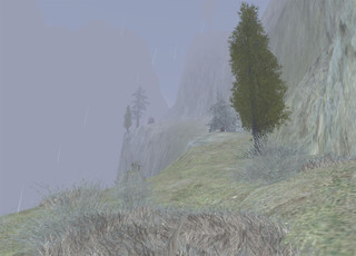 C0103 C0103