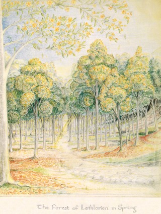Dessin de Tolkien - The Forest of Lothlorien in Spring Dessin de Tolkien - The Forest of Lothlorien in Spring