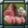 R�put