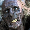 Capture de Le Seigneur des Anneaux Online : Les Ombres d'Angmar