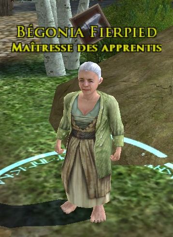 Le Seigneur des Anneaux Online - Le cuisinier