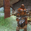 Capture de Le Seigneur des Anneaux Online : Les Ombres d'Angmar