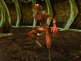 Capture d’écran du jeu « AVANT » sa refonte totale en 2005. Capture d’écran du jeu « AVANT » sa refonte totale en 2005.