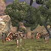 Capture de Tabula Rasa