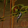 Capture d��cran du jeu � AVANT � sa refonte totale en 2005.