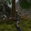 Capture de Tabula Rasa