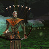 Capture de EverQuest