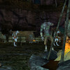 Capture de EverQuest