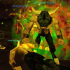 Capture de EverQuest