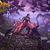 EverQuest: Favors of Fortune