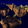 Capture de EverQuest