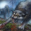 Illustration de l'Immerwolf