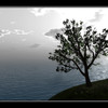 Capture de Second Life