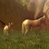 Capture de Second Life