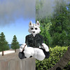 Un charmant avatar "furry"