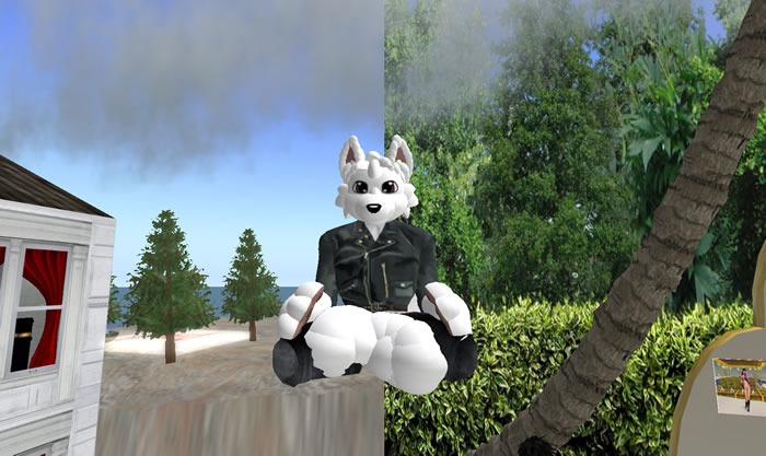 Un charmant avatar "furry"