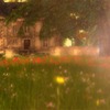 Capture de Second Life