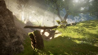 Forêt Forêt